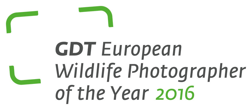 GDT European Wildlife Photographer of the Year 2016 GDT European Wildlife Photographer of the Year 2016 - logo