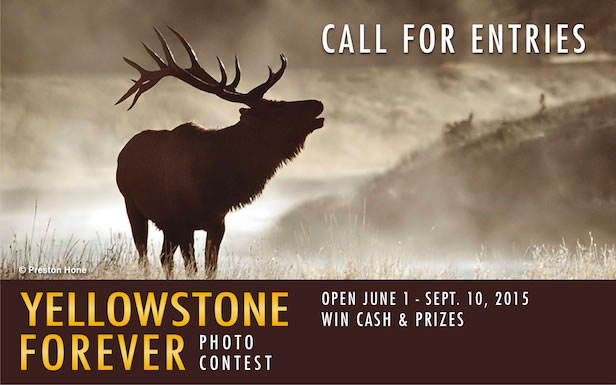 Yellowstone Forever Photo Contest 2016 Yellowstone Forever Photo Contest 2016 - logo