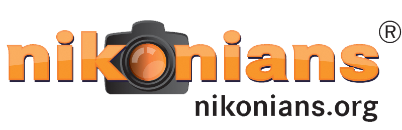 Nikonians Photography Awards 2017 Nikonians Photography Awards 2017 - logo
