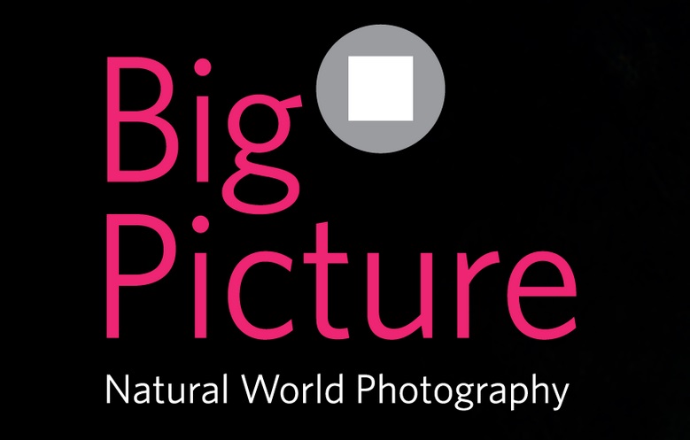 bigpicture natural world photography competition