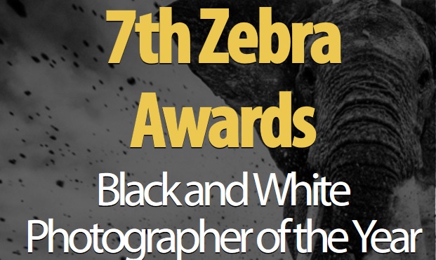 7th Zebra Awards – International Monochrome Competition 7th Zebra Awards – International Monochrome Competition - logo