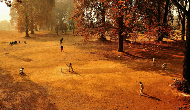 The Wisden – MCC Cricket Photograph of the Year competition 2018 The Wisden – MCC Cricket Photograph of the Year competition 2018 - logo