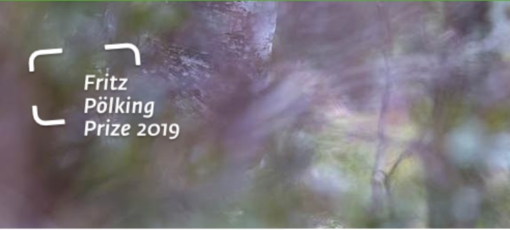Fritz Pölking and Fritz Pölking Junior Prize 2019 Fritz Pölking and Fritz Pölking Junior Prize 2019 - logo