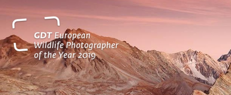 GDT European Wildlife Photographer of the Year 2019 GDT European Wildlife Photographer of the Year 2019 - logo