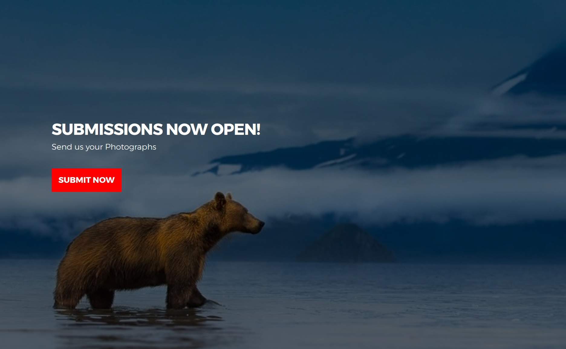 Malta International Photo Award 2019 Malta International Photo Award 2019 - logo