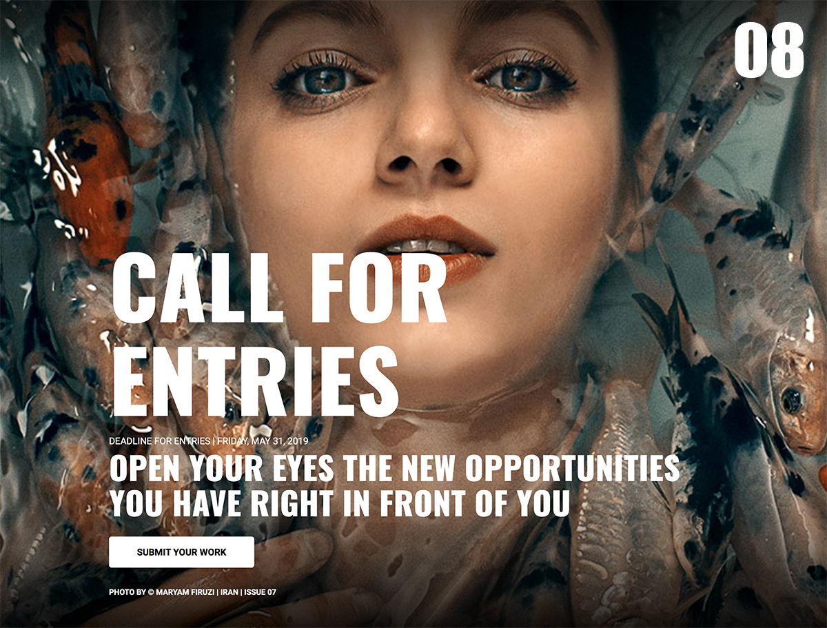 Call For Entries 08 Call For Entries 08 - logo