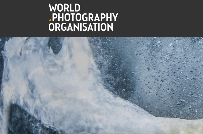 2020 Sony World Photography Awards 2020 Sony World Photography Awards - logo