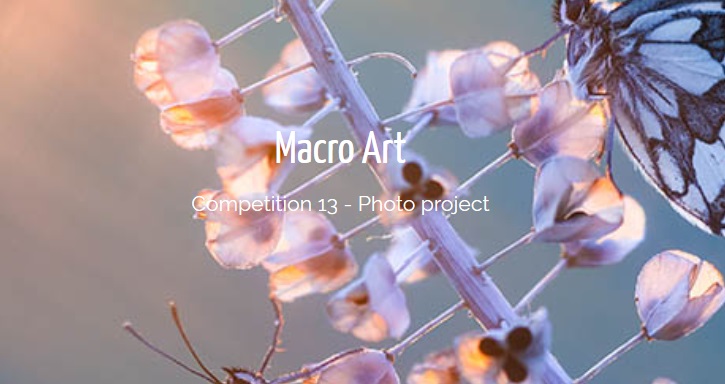Macro Art Competition – IGPOTY 2019 Macro Art Competition – IGPOTY 2019 - logo