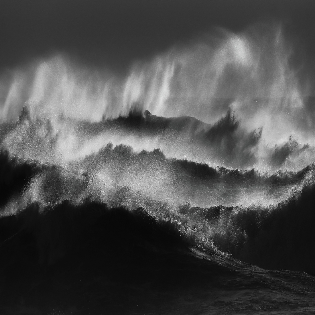 1ST PLACE - Black & White Nature and Wildlife SerieS of the Year 2019, Ocean - Romain Tornay
