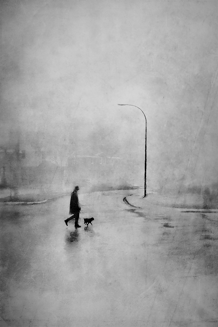 1ST PLACE - Black & White Fine Art PHOTO of the Year 2019, Walking Brutus - Daniel Castonguay
