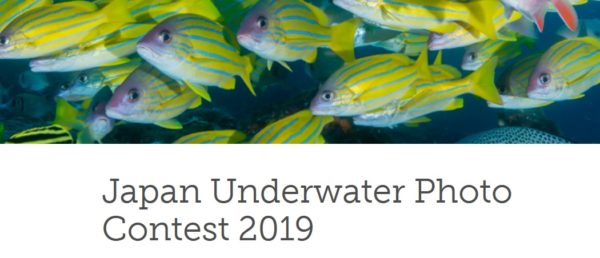 Underwater Photo Contest 2019