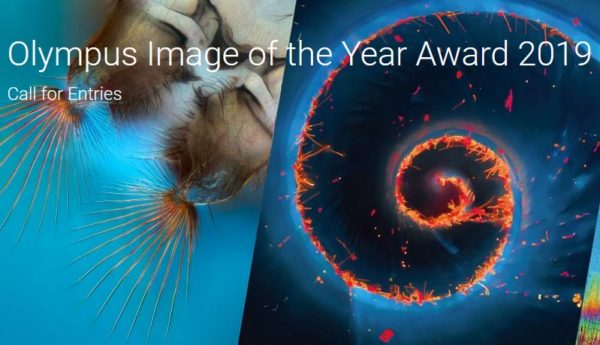 Olympus Image of the Year Award 2019