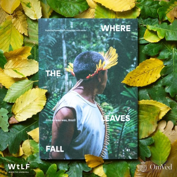 Where the Leaves Fall magazine – exploring our connection with nature - DEATH