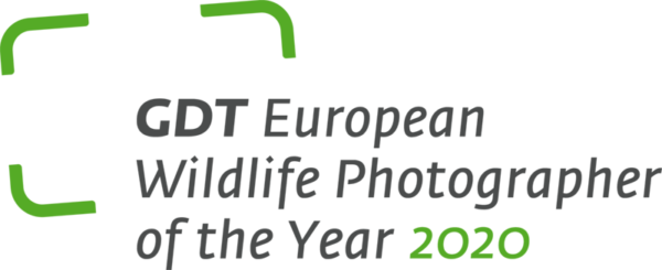 GDT European Wildlife Photographer of the Year 2020