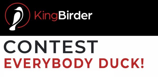 KingBirder 2020 Everybody Duck Photo Contest