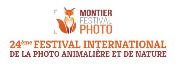 Montier Photo Competition 2020