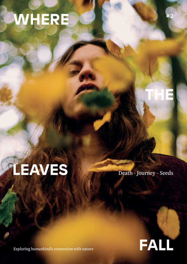 Where the Leaves Fall / OmVed Gardens - REDESIGN