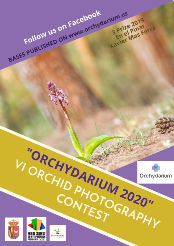 ORCHYDARIUM 2020