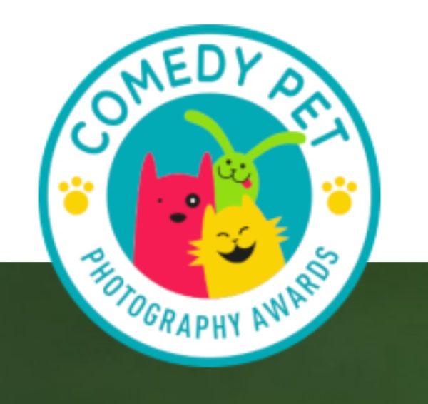 Comedy Pet Photography Awards 2020