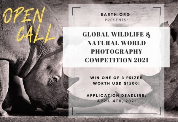 Earth.Org Global Wildlife & Natural World Photography Competition 2021