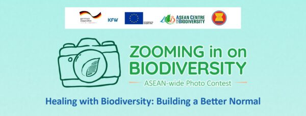Zooming in on Biodiversity 2020