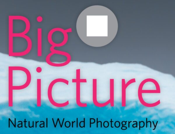 BigPicture Natural World Photography 2021