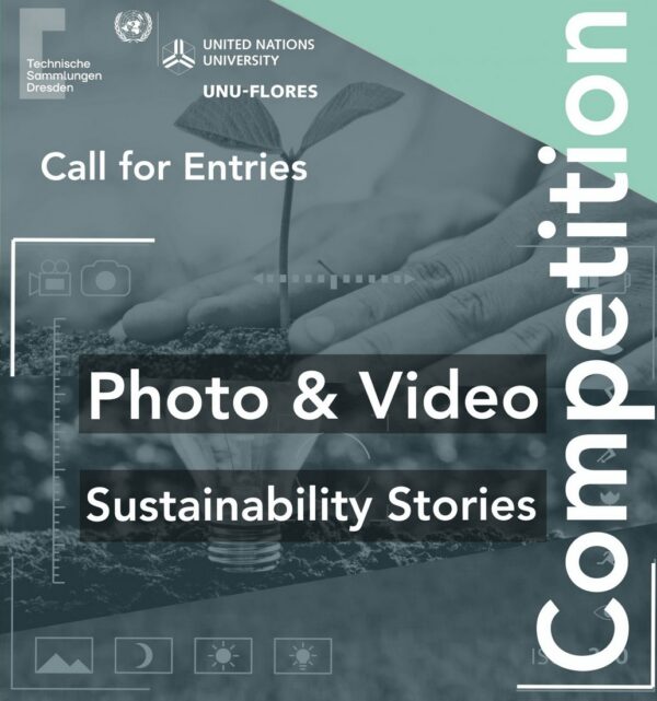 Show & Tell: Your Sustainability Stories 2021