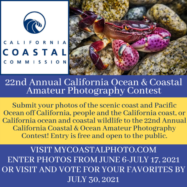 22nd Annual Coastal and Ocean Amateur Photography Contest