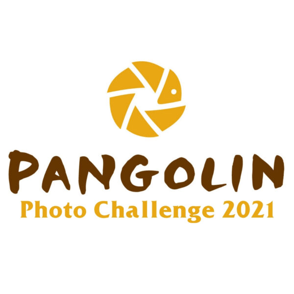 Pangolin Photo Challenge 2021