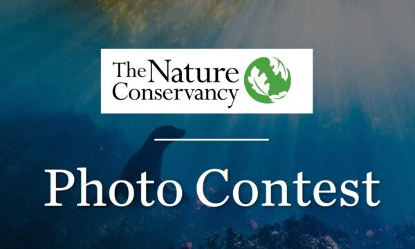 Nature Conservancy's Global Photo Contest 2021