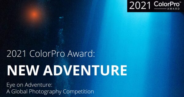 ColorPro Award 2021