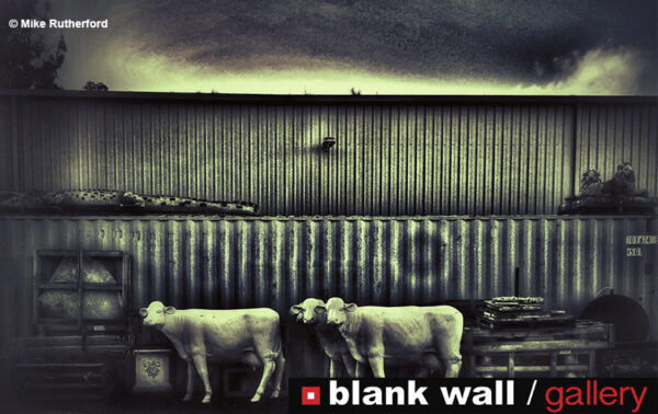 Fine Art by Blank Wall Gallery