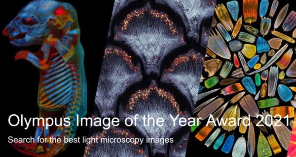 Olympus Image of the Year Award 2021