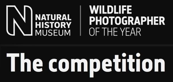 Wildlife Photographer of the Year 2022