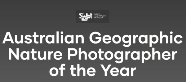 Australian Geographic Nature Photographer of the Year 2022