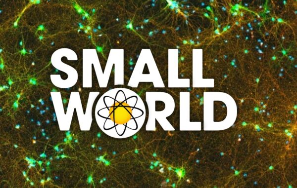 Nikon Small World Competition 2022