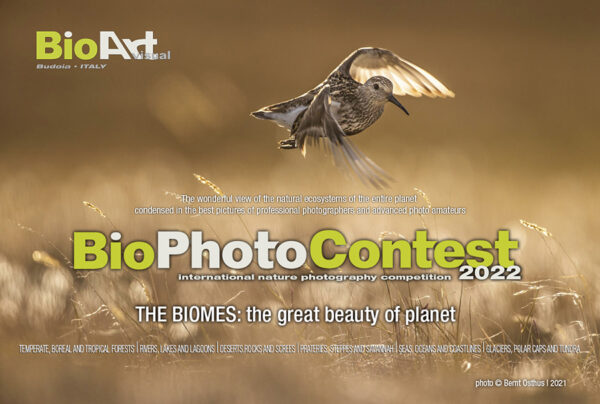 BioPhotoContest 2022