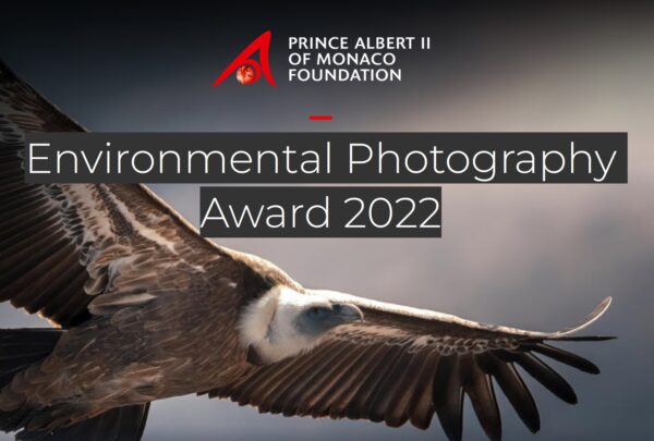 Environmental Photography Award 2022