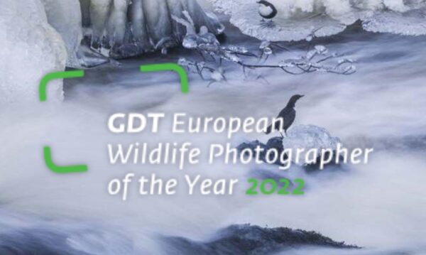 GDT European Wildlife Photographer of the Year 2022