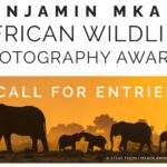 2022 Benjamin Mkapa African Wildlife Photography Awards