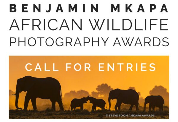 2022 Benjamin Mkapa African Wildlife Photography Awards