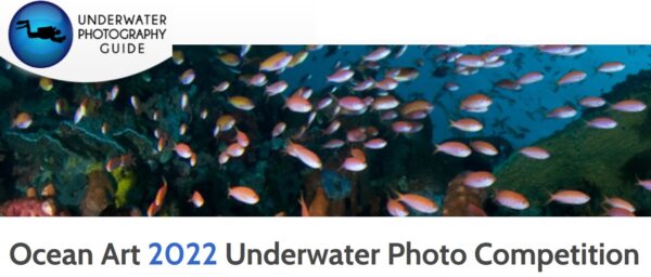 Ocean Art 2022 Underwater Photo Competition