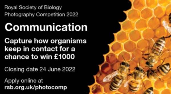 Royal Society of Biology Photography Competition 2022