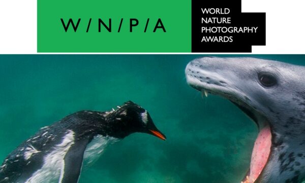 World Nature Photography Awards 2022