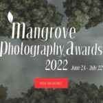 Mangrove Photography Awards 2022