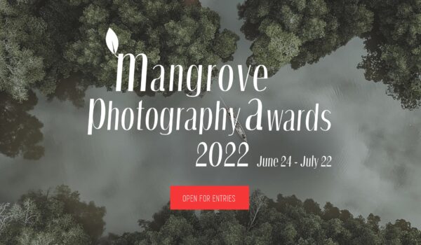 Mangrove Photography Awards 2022