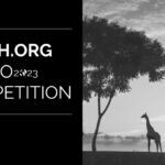 Earth.Org Global Wildlife & Natural World Competition 2023