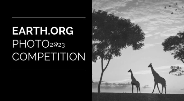 Earth.Org Global Wildlife & Natural World Competition 2023