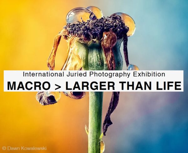 MACRO > LARGER THAN LIFE