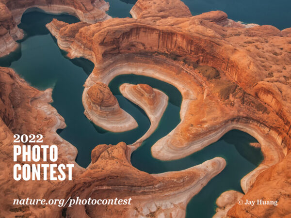 Nature Conservancy's 2022 Global Photo Contest